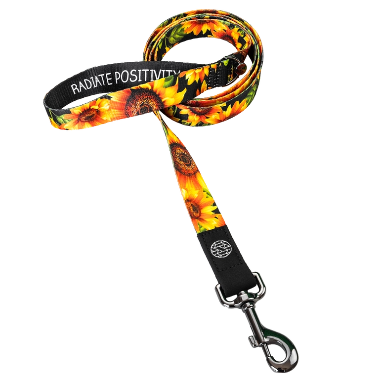 ZOX - Dog Leash - Radiate Positivity