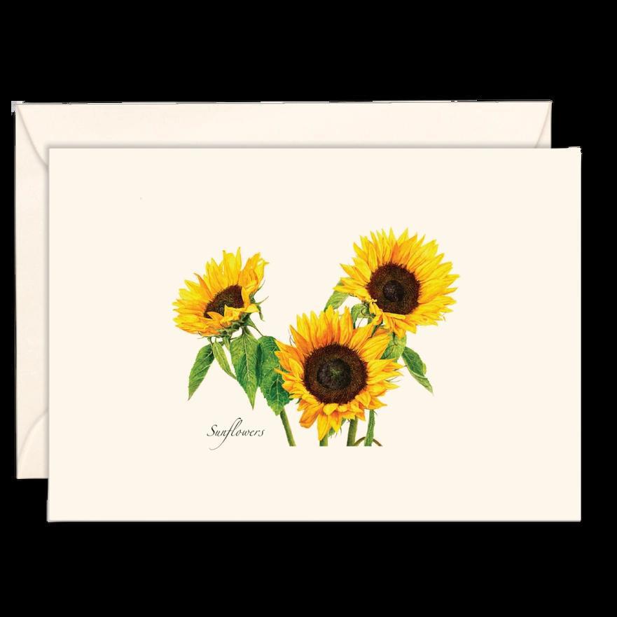 Note Cards - 3.5" x 5" Set of 8 with Envelopes