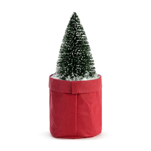 Christmas - Plant Kindness - Advice from a Christmas Tree