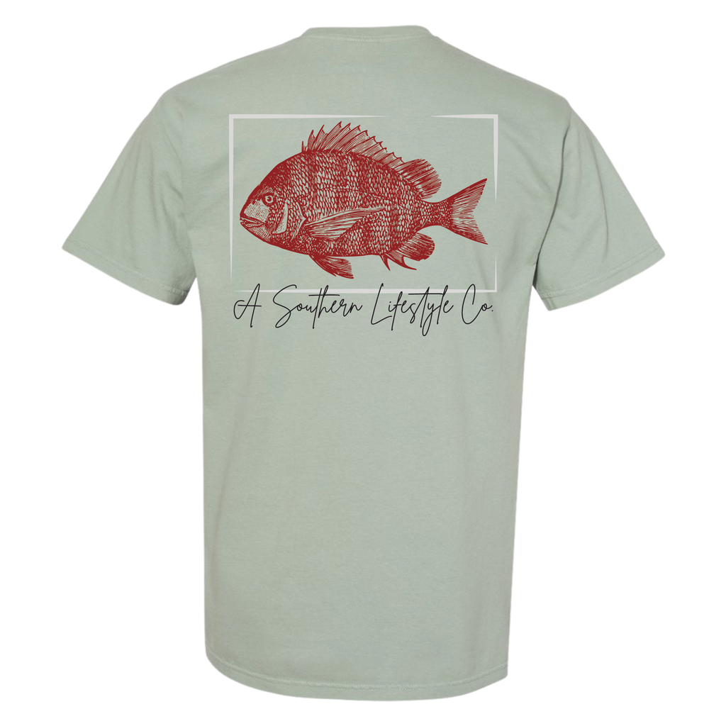 Snapper Short Sleeve Tee - Bay