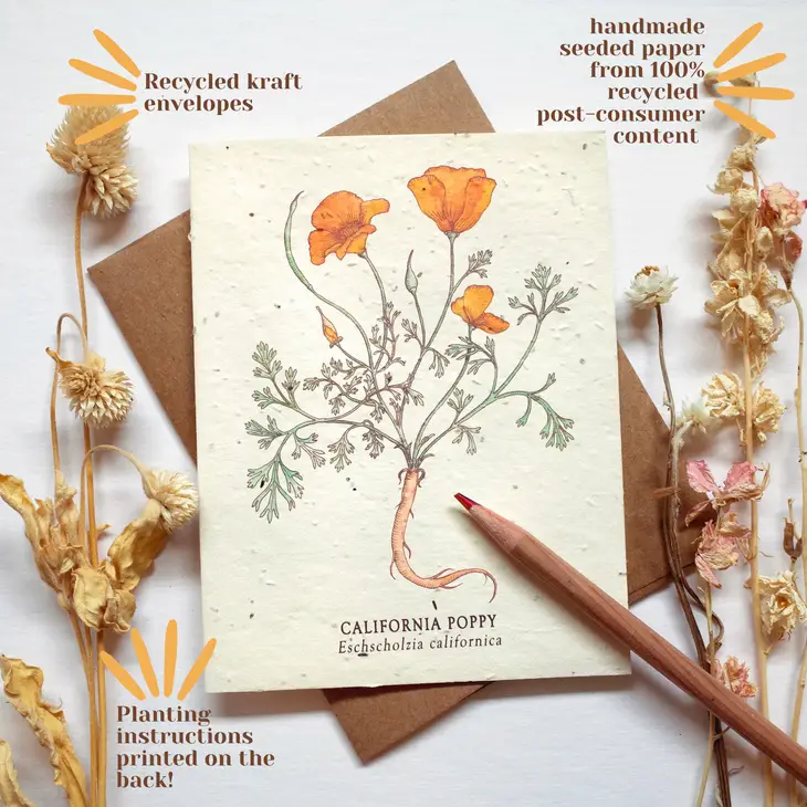 wildflower seeds in paper Card