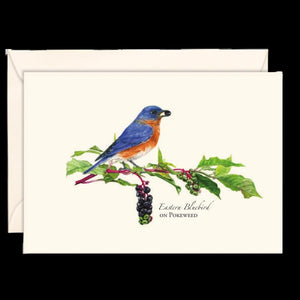 Note Cards - 3.5" x 5" Set of 8 with Envelopes