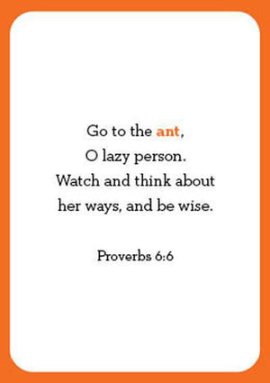 Bible Animals Flash Cards