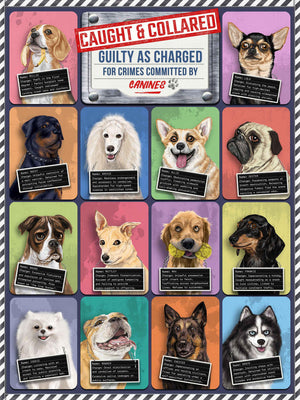 Puzzle - Dogs Caught and Collared