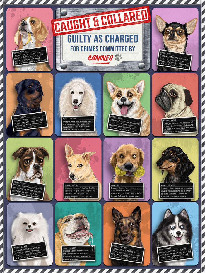 Puzzle - Dogs Caught and Collared