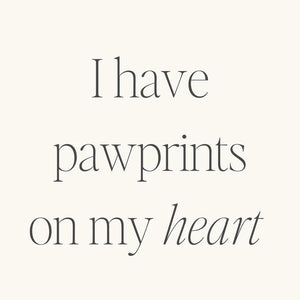 Bracelet - I Have Pawprints On My Heart