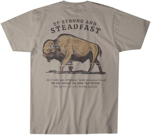 NLHD - "Be Strong and Steadfast Buffalo" Christian Graphic MOG Tee