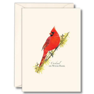 Note Cards - 3.5" x 5" Set of 8 with Envelopes
