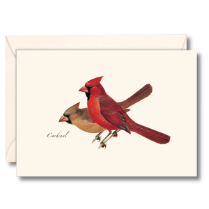 Christmas Note Cards - 3.5" x 5" Set of 8 with Envelopes
