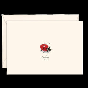 Note Cards - 3.5" x 5" Set of 8 with Envelopes