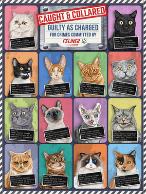 Puzzle - Cats Caught and Collared