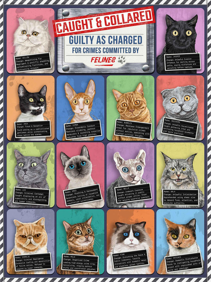 Puzzle - Cats Caught and Collared