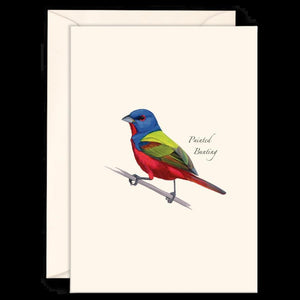 Note Cards - 3.5" x 5" Set of 8 with Envelopes