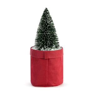 Christmas - Plant Kindness - Christmas Faith