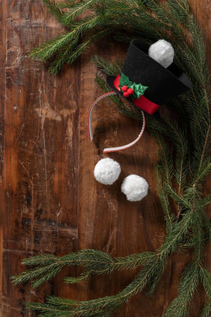 Frosty Fling Game