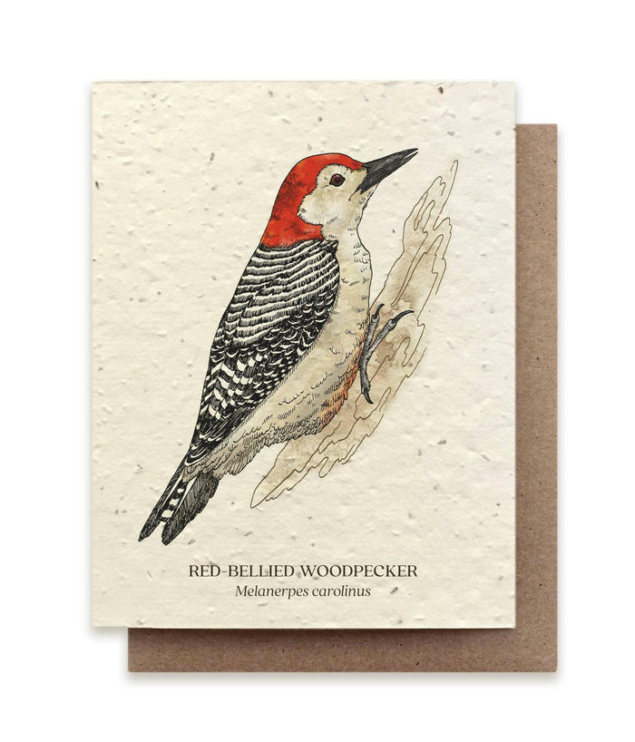 Card - Woodpecker Greeting Card - Plantable Seed Paper