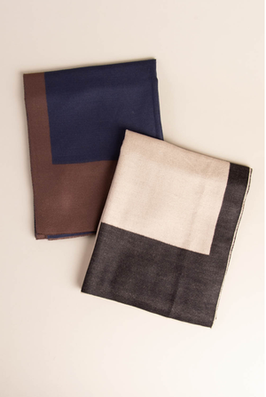 Simply Noelle Colorblock Boxed Scarf