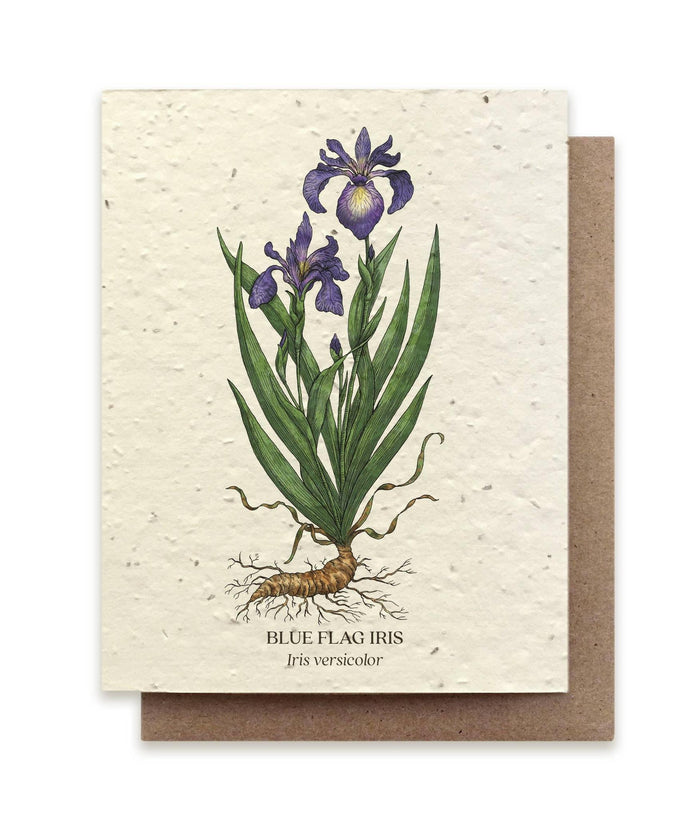 Card - Iris Botanical Greeting Card - Plantable Seed Paper