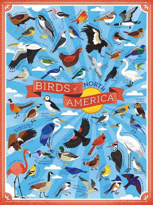 Puzzle - Birds of North America