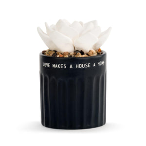 Succulent Oil Diffuser - Home