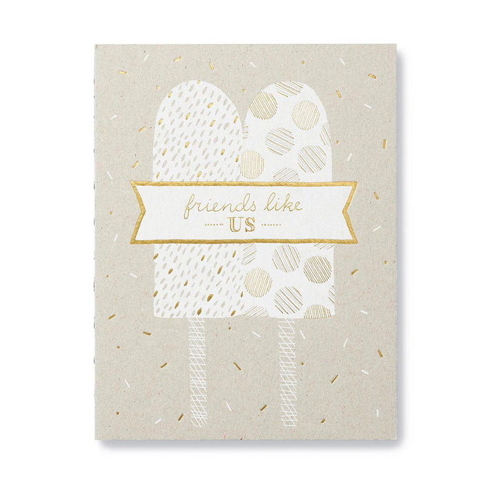 Book - Friends Like Us