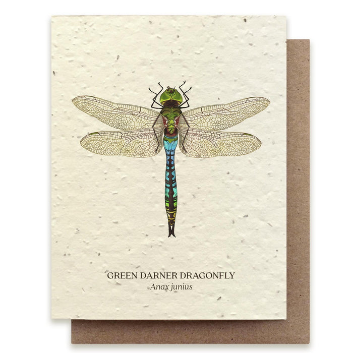 Card - Dragonfly Insect Greeting Card - Plantable Seed Paper