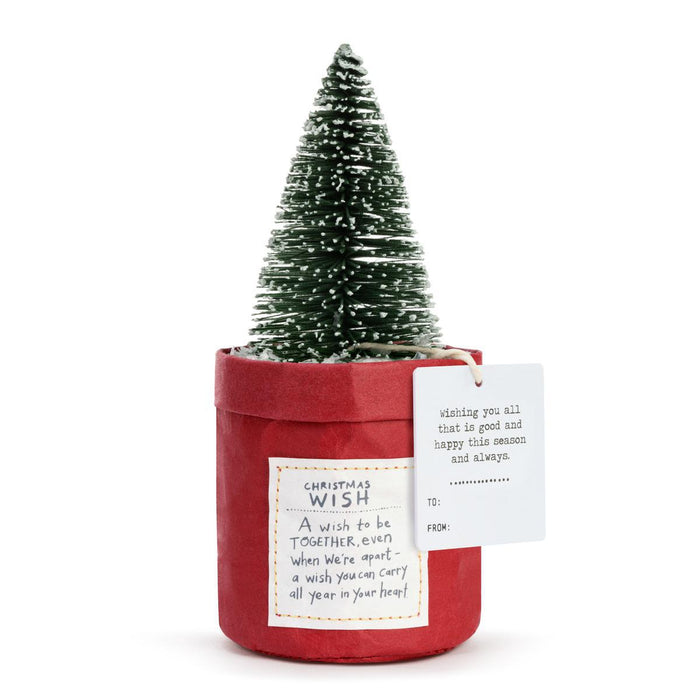 Christmas - Plant Kindness - Christmas Wish