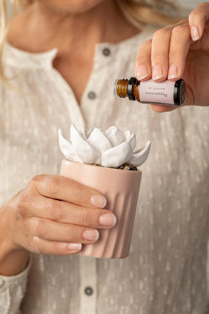 Succulent Oil Diffuser - Navy
