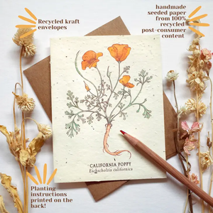 Card - Plantable Wildflower Seed Paper
