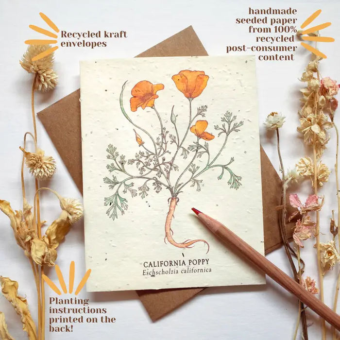 Card - Plantable Wildflower Seed Paper