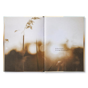 Book - The Center of You