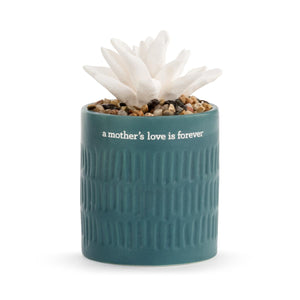 Succulent Oil Diffuser - Mother's Love